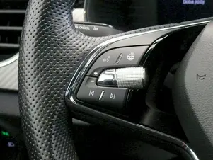 Škoda Kamiq Monte Carlo