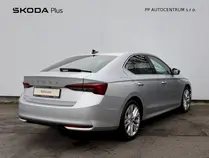 Octavia Exclusive Selection