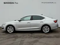 Octavia Exclusive Selection