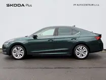 Octavia Exclusive Selection