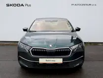 Octavia Exclusive Selection