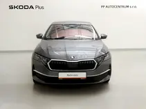 Octavia Exclusive Selection