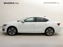 Octavia Exclusive Selection