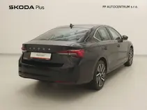 Octavia Exclusive Selection