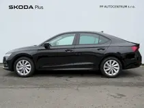 Octavia Ambition Fresh