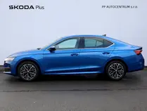 Octavia Top Selection