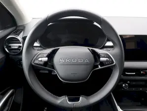 Škoda Fabia Top Selection