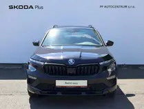 Kamiq Monte Carlo