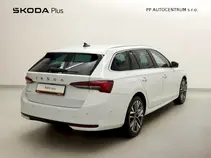 Octavia Exclusive Selection