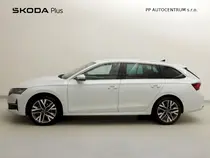 Octavia Exclusive Selection