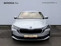 Octavia Exclusive Selection