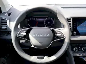 Škoda Karoq Top Selection