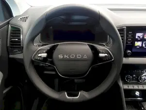 Škoda Karoq Top Selection