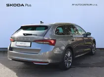 Octavia Exclusive Selection