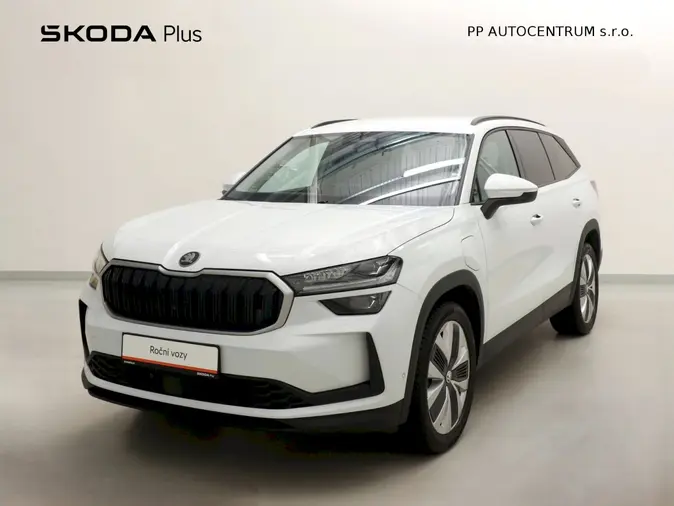 Kodiaq Selection