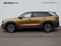 Kodiaq Exclusive Selection