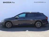 Golf Variant