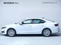 Octavia Top Selection