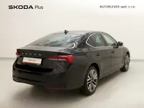 Octavia Exclusive Selection