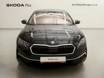 Octavia Exclusive Selection