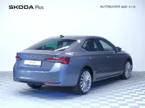 Octavia Exclusive Selection
