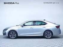 Octavia Exclusive Selection