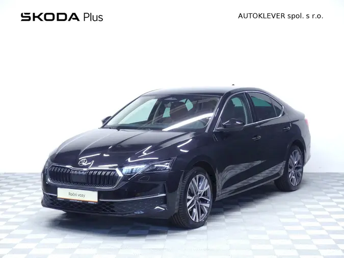 Octavia Exclusive Selection