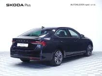 Octavia Exclusive Selection