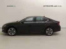 Octavia Exclusive Selection