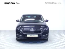 Octavia Exclusive Selection