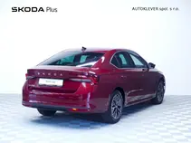 Octavia Top Selection