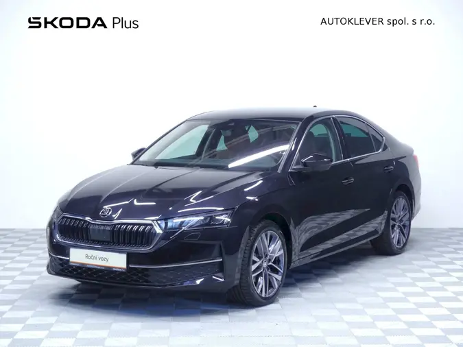 Octavia Exclusive Selection