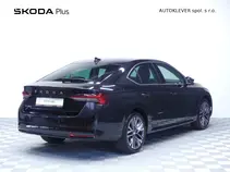 Octavia Exclusive Selection