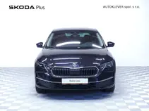 Octavia Exclusive Selection