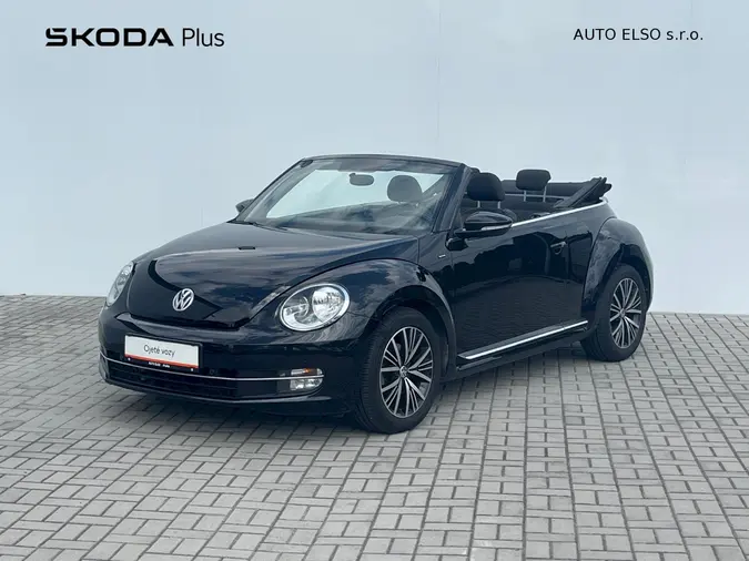 Beetle