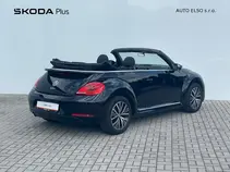 Beetle