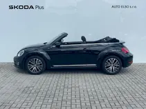 Beetle 