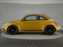 Beetle