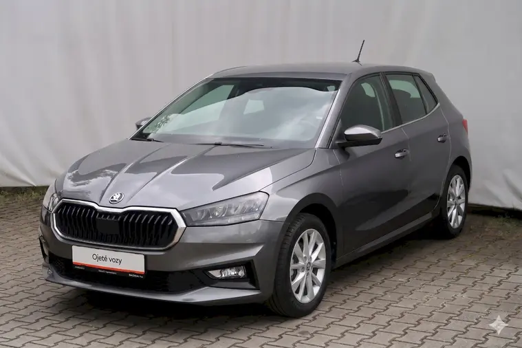Fabia Style