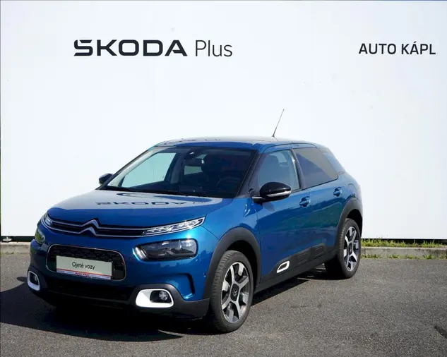 C4 Cactus 