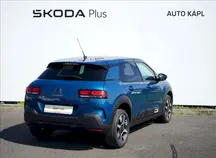C4 Cactus 