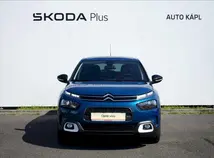 C4 Cactus 
