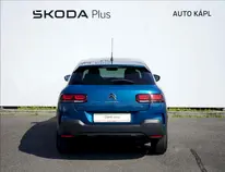 C4 Cactus 
