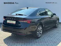 Octavia Exclusive Selection