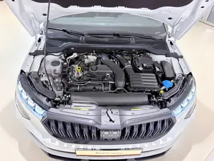 Škoda Kamiq Monte Carlo