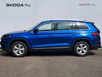 Kodiaq Style