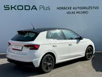 Fabia Style