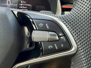 Škoda Kamiq Monte Carlo