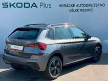 Kamiq Monte Carlo