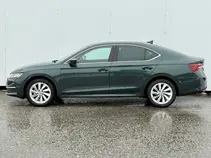 Octavia Top Selection